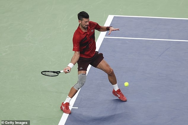 Serb Djokovic, a 24-time Grand Slam champion, is currently fourth in the ATP world rankings